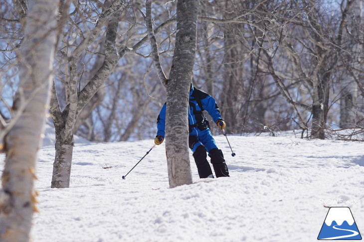 DYNASTAR SKI 